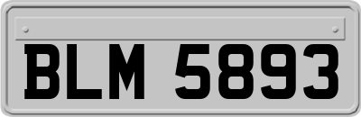 BLM5893