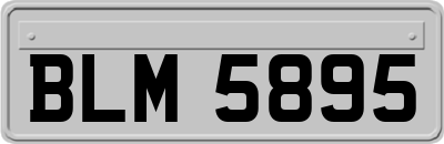 BLM5895