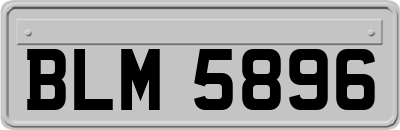 BLM5896