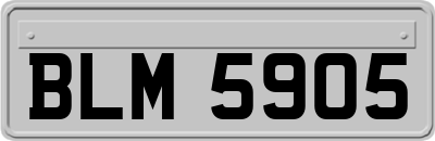 BLM5905