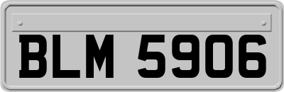 BLM5906