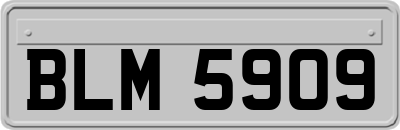 BLM5909