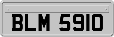 BLM5910