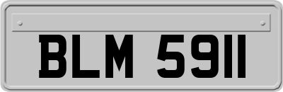 BLM5911