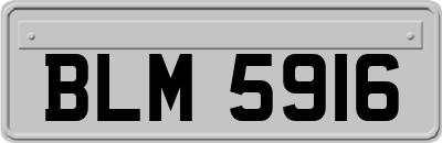 BLM5916