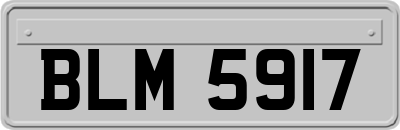 BLM5917