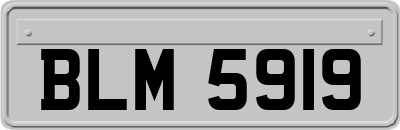 BLM5919