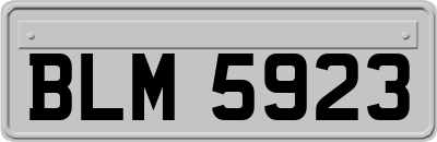 BLM5923