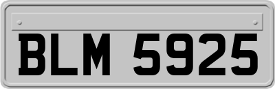 BLM5925