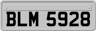 BLM5928