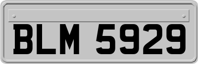BLM5929