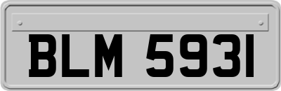 BLM5931