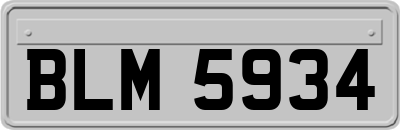 BLM5934