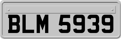 BLM5939