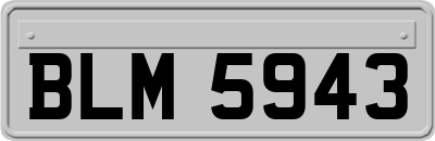 BLM5943