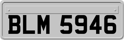 BLM5946