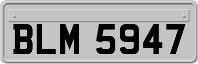 BLM5947