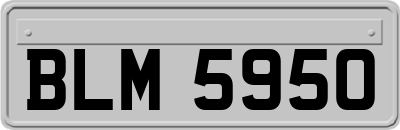 BLM5950