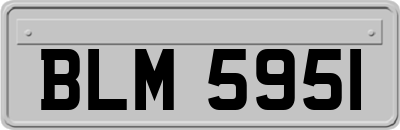 BLM5951