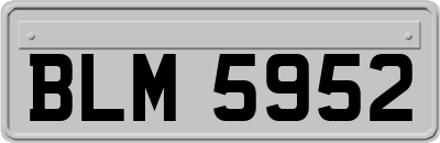 BLM5952