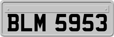 BLM5953