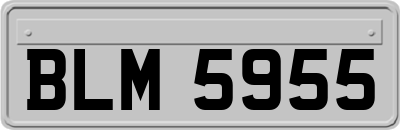 BLM5955