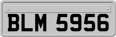 BLM5956