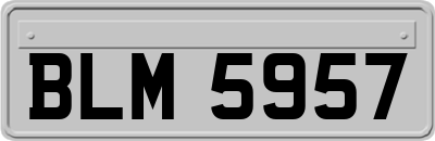 BLM5957