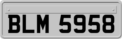 BLM5958