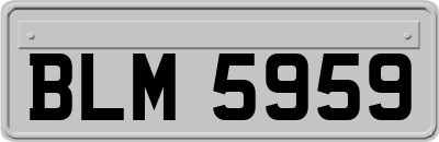 BLM5959
