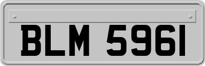BLM5961