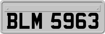 BLM5963