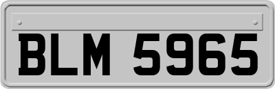 BLM5965