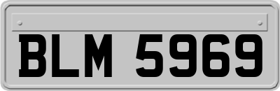 BLM5969