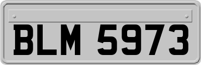 BLM5973