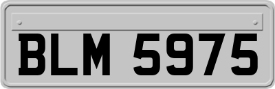 BLM5975