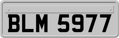 BLM5977