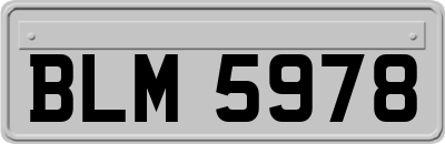 BLM5978