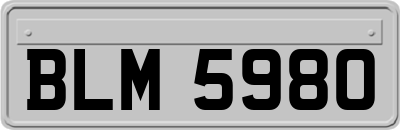 BLM5980