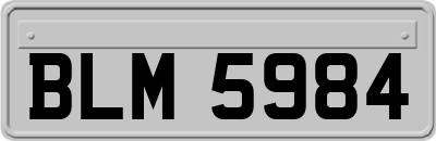 BLM5984