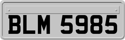 BLM5985