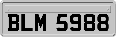 BLM5988