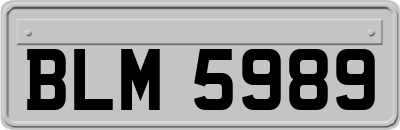 BLM5989