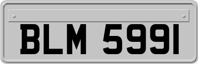 BLM5991