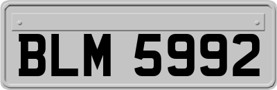 BLM5992