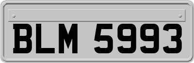 BLM5993