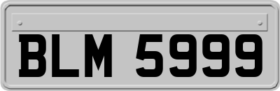 BLM5999
