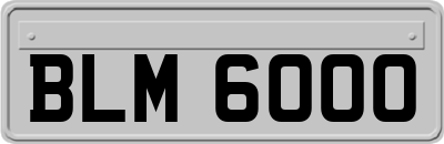 BLM6000