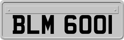 BLM6001