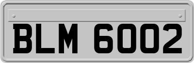 BLM6002